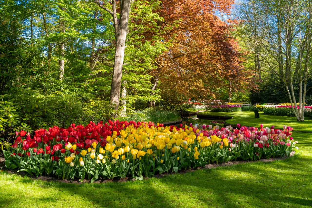 Ogród botaniczny w otoczeniu Villa Botanica